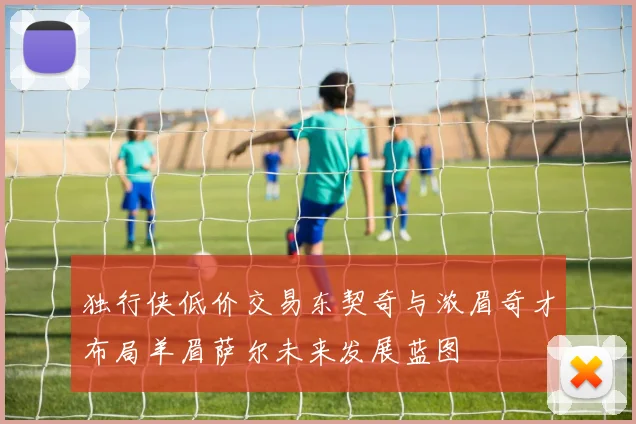 独行侠低价交易东契奇与浓眉奇才布局羊眉萨尔未来发展蓝图