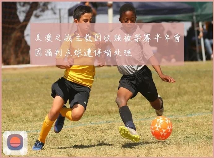 美澳之战主裁因收贿被禁赛半年曾因漏判点球遭停哨处理